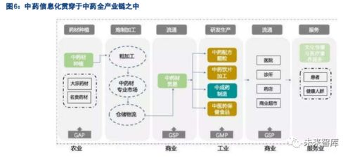 生物醫(yī)藥中藥產業(yè)信息化專題報告 軟件與信息技術服務的角色與發(fā)展