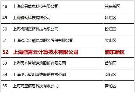巔峰引領(lǐng)，再獲殊榮 比格云榮登2020上海軟件和信息技術(shù)服務(wù)業(yè)高成長百家榜單